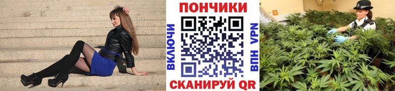 Канабис план  Купить закладки  Алейск 